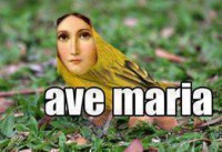 /album/rindo-no-maximo/ave-maria-jpg/